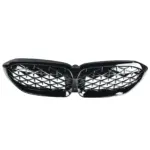 kunststof auto grille