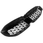 glanzend zwarte diamant grille